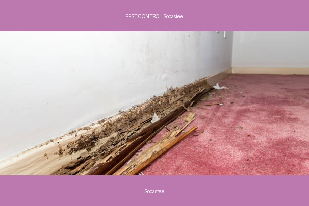 PEST CONTROL Socastee